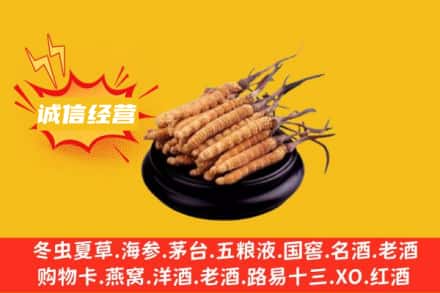 西安市回收冬虫夏草